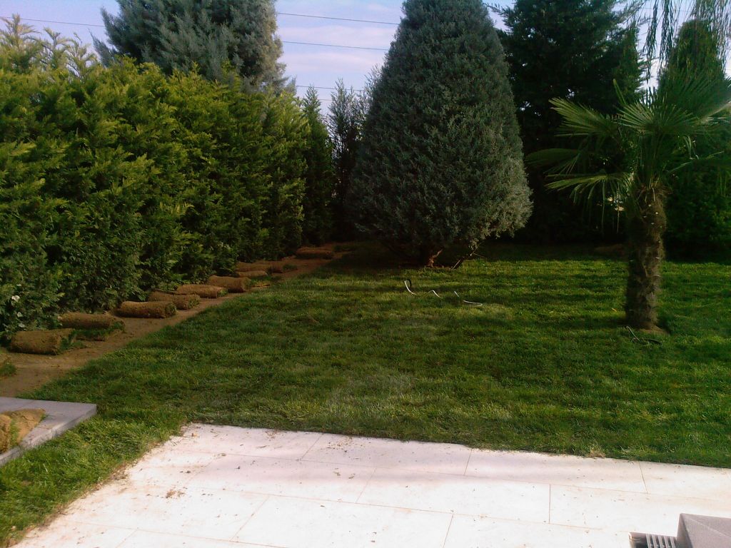 Baharda çim bakımı. Uyan Baharda çim bakımı. Uyan